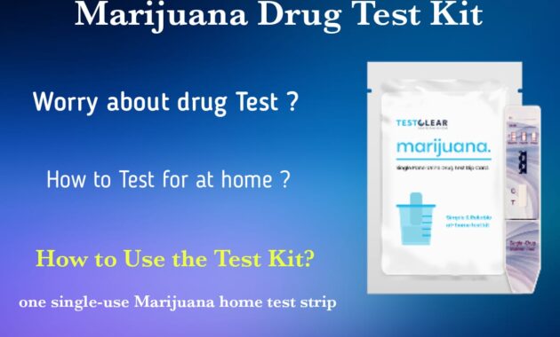 marijuana drug test kit