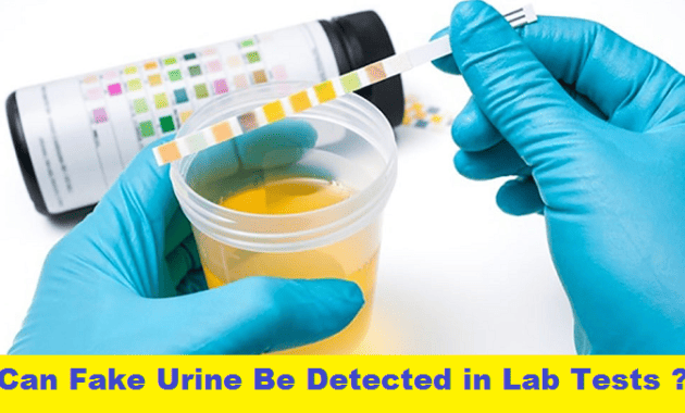 Can Fake Urine Be Detected in Lab Tests
