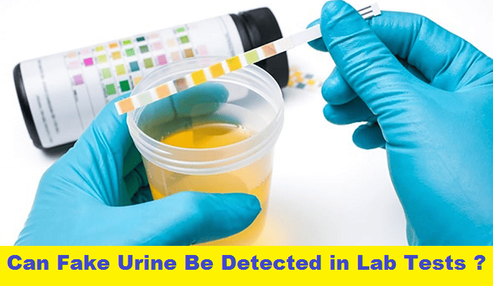 Can Fake Urine Be Detected in Lab Tests